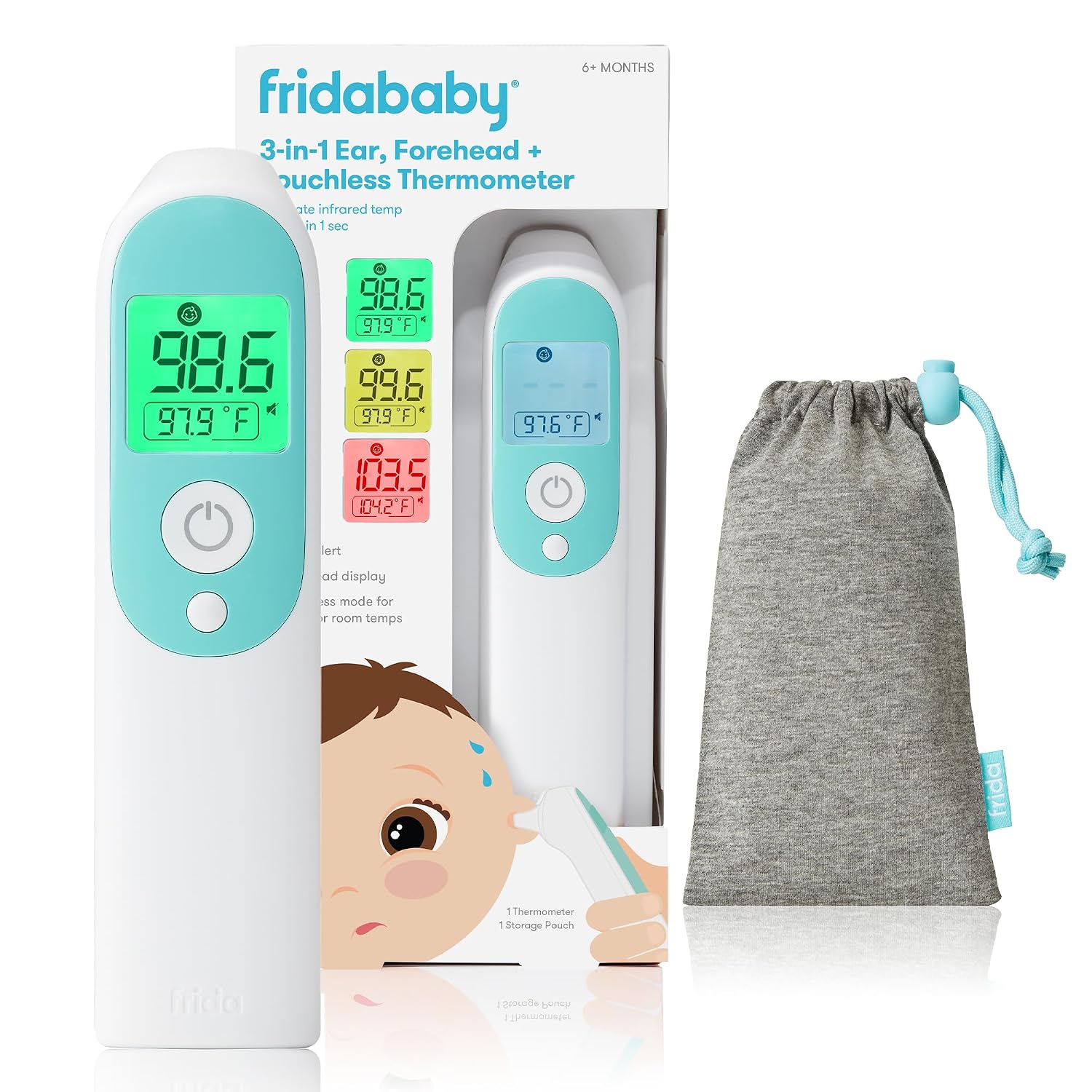 Thermometer kit and pouch